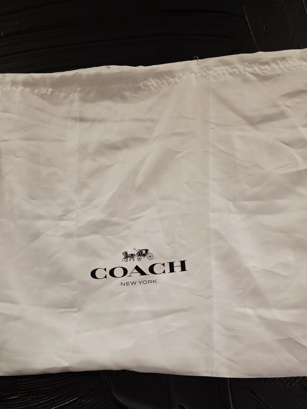 Coach White Dust Bag Silk Drawstring Storage Bag Large Logo Authentic